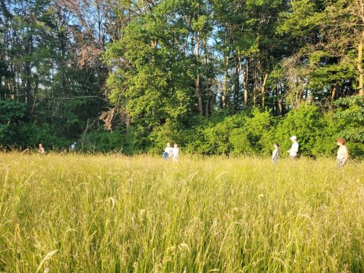 Fleißige Helfer stecken